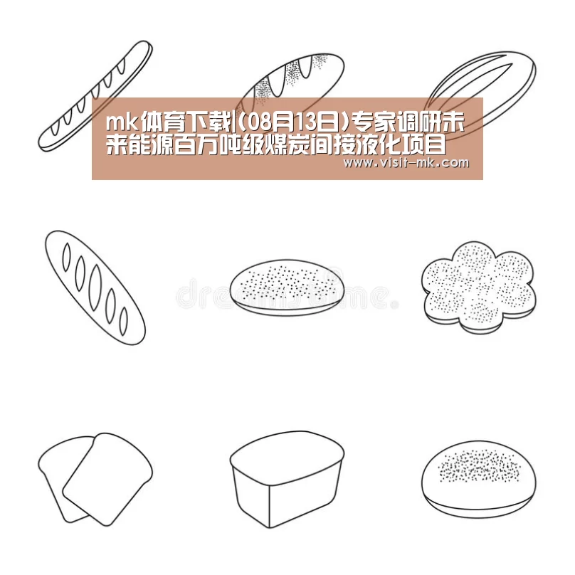 mk体育下载|(08月13日)专家调研未来能源百万吨级煤炭间接液化项目(图1) mk体育app