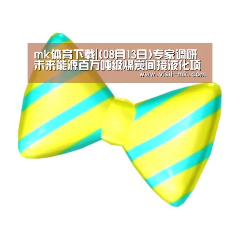 mk体育下载|(08月13日)专家调研未来能源百万吨级煤炭间接液化项目(图3) mk体育下载