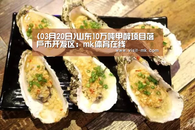 (03月20日)山东10万吨甲醇项目落户市开发区:mk体育在线(图3) mk体育注册