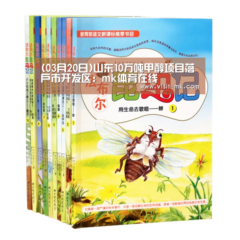 (03月20日)山东10万吨甲醇项目落户市开发区:mk体育在线(图1) mk体育app