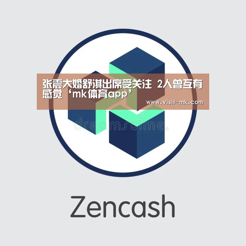 张震大婚舒淇出席受关注 2人曾互有感觉‘mk体育app’(图3) mk体育app