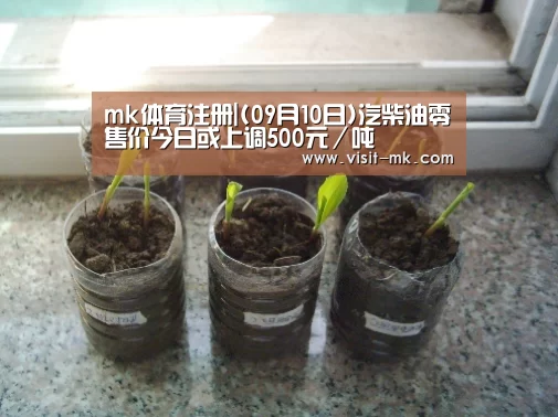 mk体育注册|(09月10日)汽柴油零售价今日或上调500元/吨(图1) mk体育注册