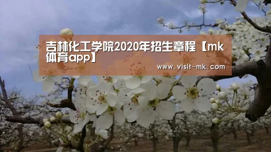 mk体育下载